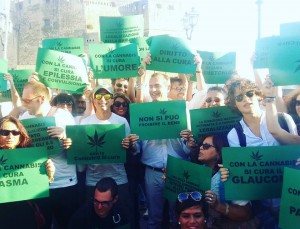 cannabis de magistris