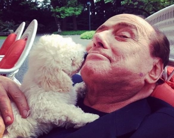 L’angolo sticazzi – Dudù è diventato papà di tre cuccioli