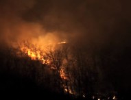 Incendio ad Agnano, a fuoco ettari di vegetazione