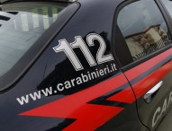 Cani picchiati e segregati a Serino, denunciato presunto autore: è un 54enne