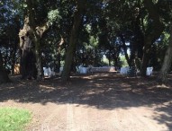 Tensione al Parco di Capodimonte: area chiusa per festa privata, scatta la protesta