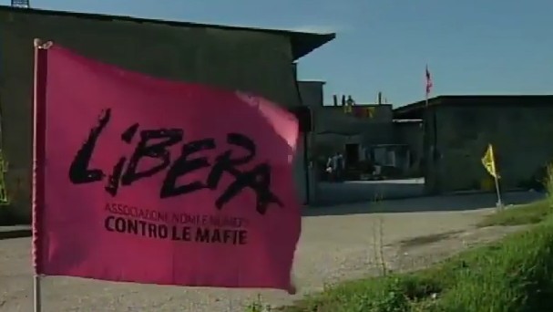 Afragola, rubate 400 piante di mela annurca nel bene confiscato al clan