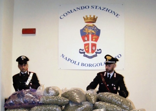 Napoli, trovati 55 kg di marijuana