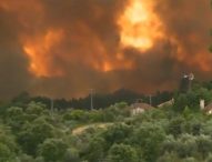 Portogallo, incendio devasta foresta a Pedrógão Grande: decine di vittime