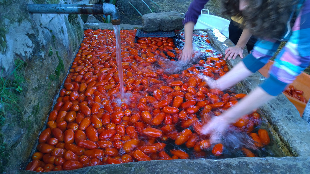 La festa della ‘Pummarola’ di Legambiente