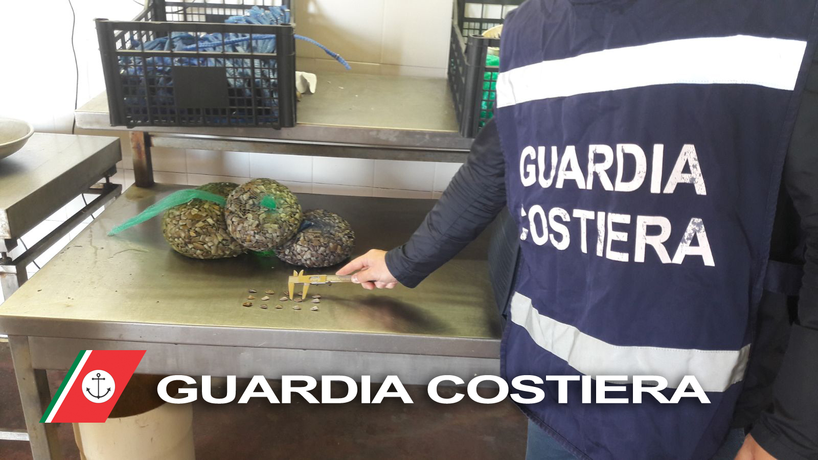 Napoli, Guardia Costiera sequestra 200 chili di pesce e chiude due aziende