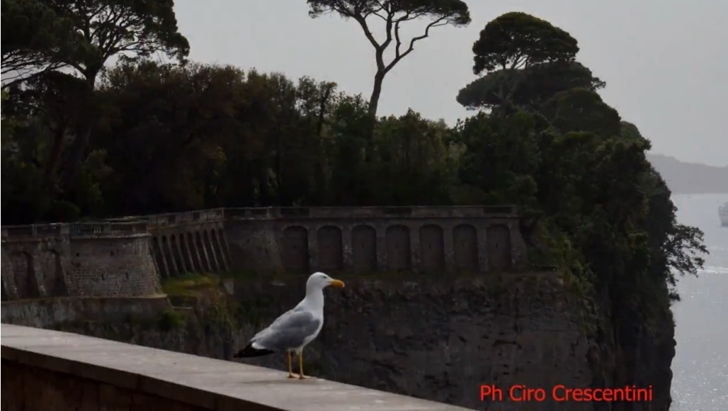 Campania, saranno recuperati 17 luoghi culturali, penalizzata la provincia di Napoli