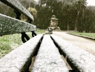 La foto del giorno: Napoli,  fiocchi di neve al Bosco di Capodimente