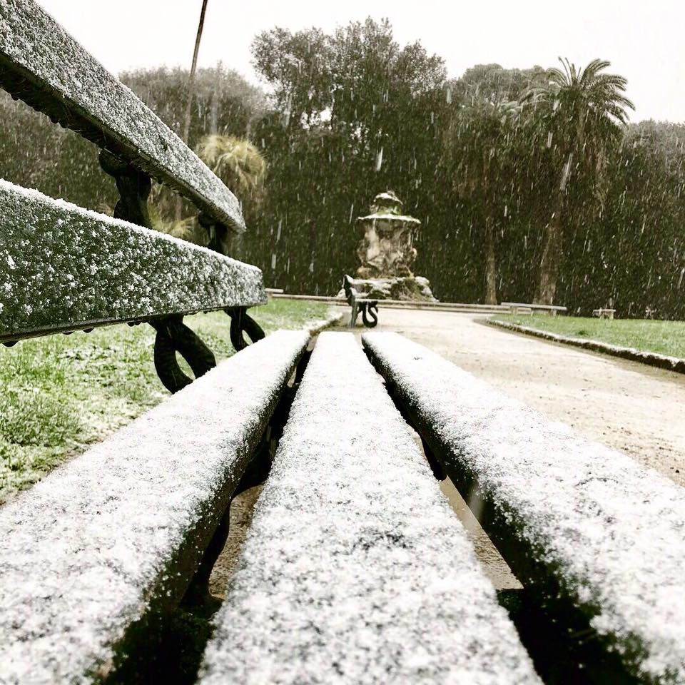 La foto del giorno: Napoli,  fiocchi di neve al Bosco di Capodimente