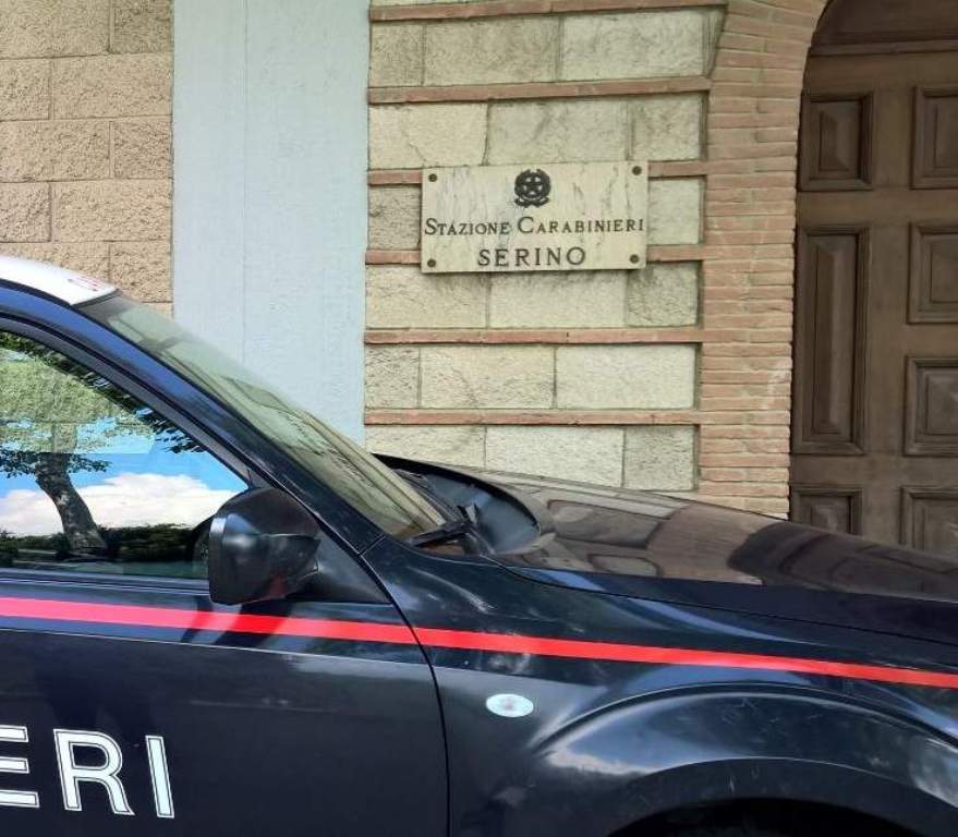 Serino, Avellino: coppia di coniugi denunciata per pascolo abusivo