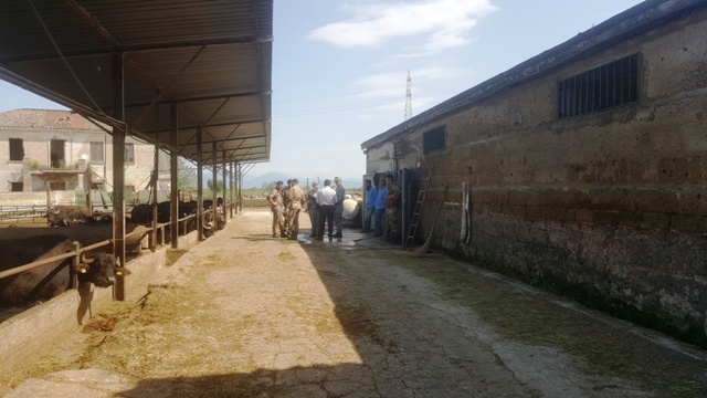 Santa Maria Capua Vetere, reati ambientali: sequestri, multe e denunce a tappeto
