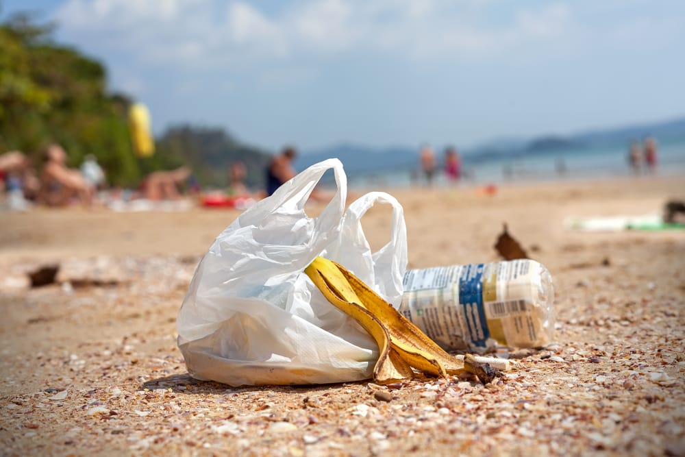 Appello ai sindaci di Capri, Ischia e Procida contro la plastica galleggiante