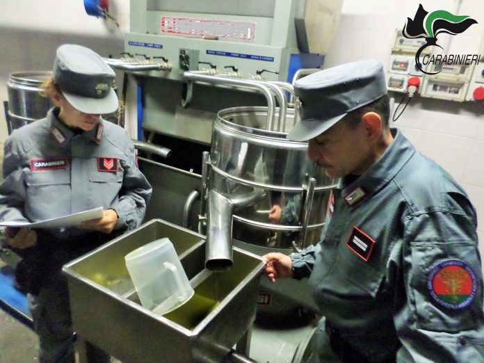 Controlli dei carabinieri: sequestrate decine di tonnellate di olio