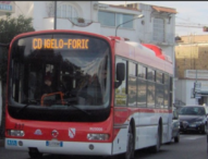 Ischia, Napoli: acquistati bus di seconda mano e fuori norma