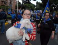 Sardegna, la lotta dei pastori contro Confindustria