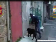 Cani della Polizia e della Guardia di Finanza fanno scoprire pistola e droga a Capodichino