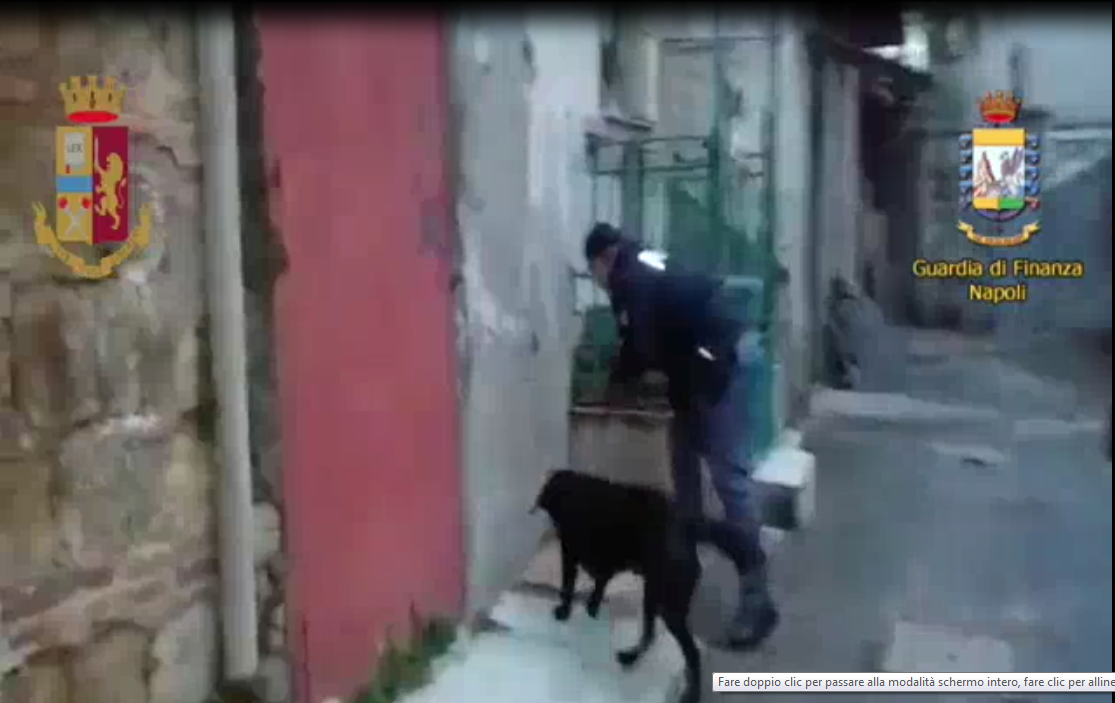 Cani della Polizia e della Guardia di Finanza fanno scoprire pistola e droga a Capodichino