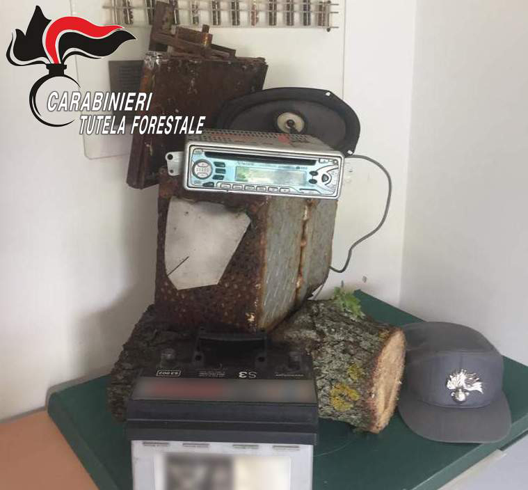 Mugnano del Cardinale, carabinieri sequestrano richiamo acustico per la cattura uccelli