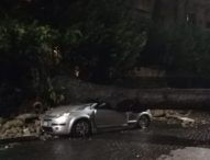 Napoli, maltempo abbatte alberi: tragedie sfiorate a Posillipo