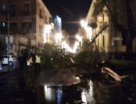 Bomba d’acqua su Salerno, alberi crollati al centro