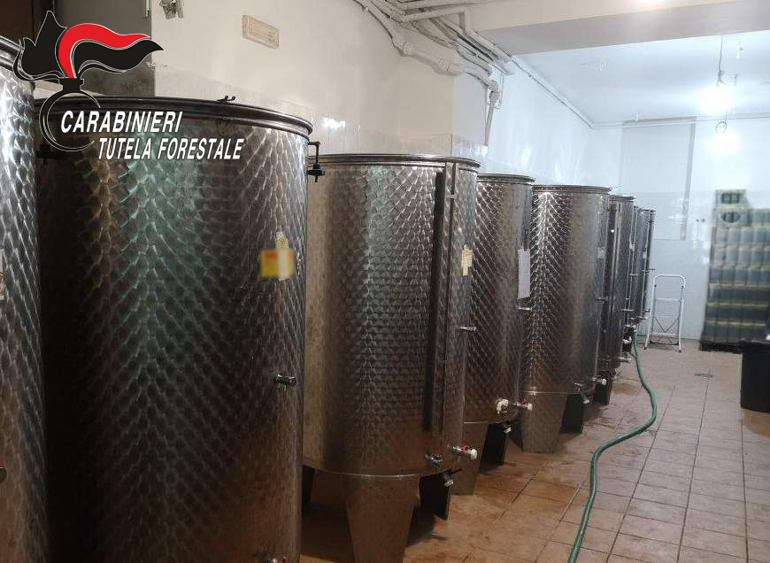 Volturara Irpina: sequestrati prodotti alimentari per un valore di 200 mila euro, denunciate due persone
