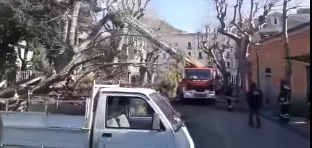 Cava dei Tirreni: cade albero, un uomo perde vita
