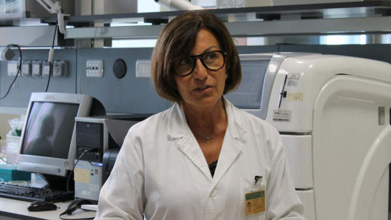 Coronavirus, basta panico