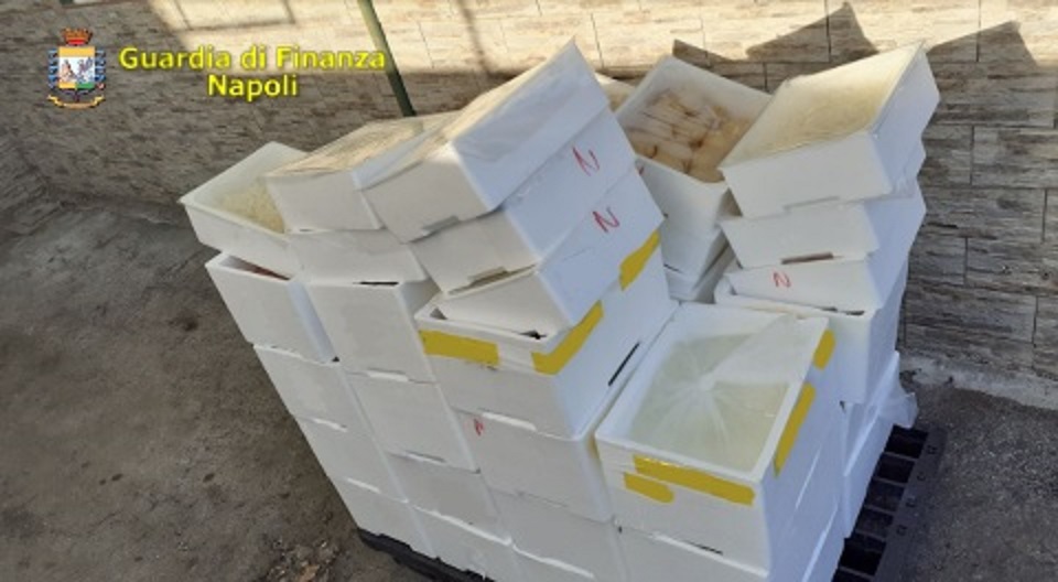 Napoli, la Guardia di finanza sequestra una tonnellata di mozzarella non certificata