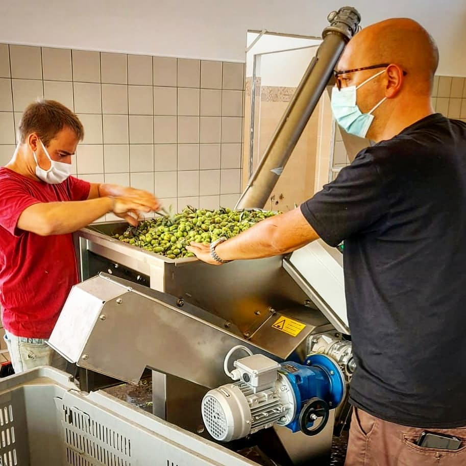 Caserta, agricoltura sociale: si inaugura il frantoio “Nata Terra”
