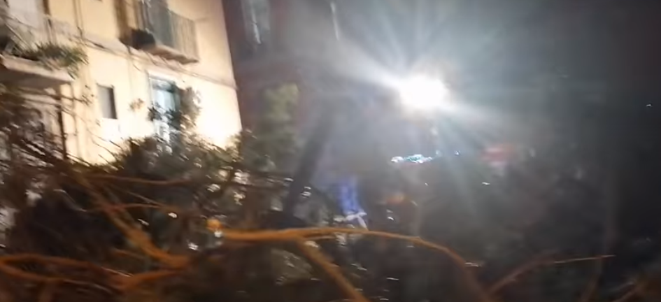 Napoli, piazza Cavour: cade un albero, giovane ferito