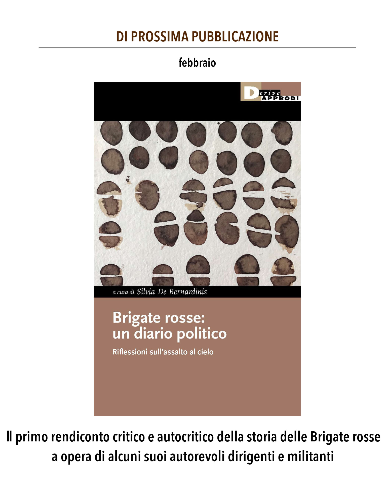 Brigate rosse: un diario politico. Riflessioni sull’assalto al cielo