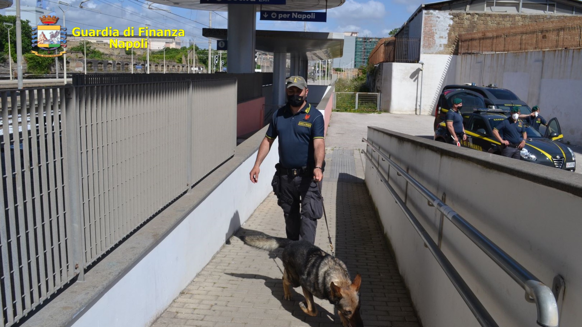 Napoli, controlli Guardia di Finanza VI Municipalità: 13 illeciti rilevati per droga e contrabbando