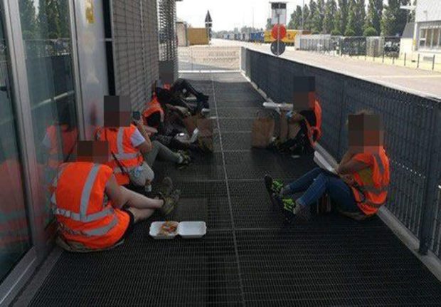 Green Pass, Ikea costringe i lavoratori a mangiare a terra: scatta il boicottaggio