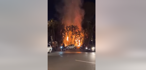 Napoli, incendio in villa comunale. Bruciate tre palme