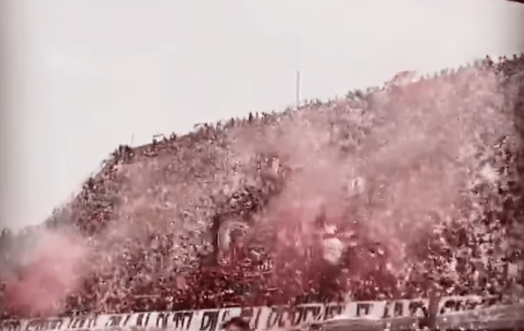 Salernitana-Fiorentina 2-1: ora la salvezza è più vicina