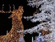 Napoli, flop bando delle luminarie di Natale: nessuna offerta imprenditoriale