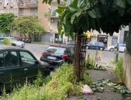 Napoli, Vomero: il degrado di Viale Raffaello