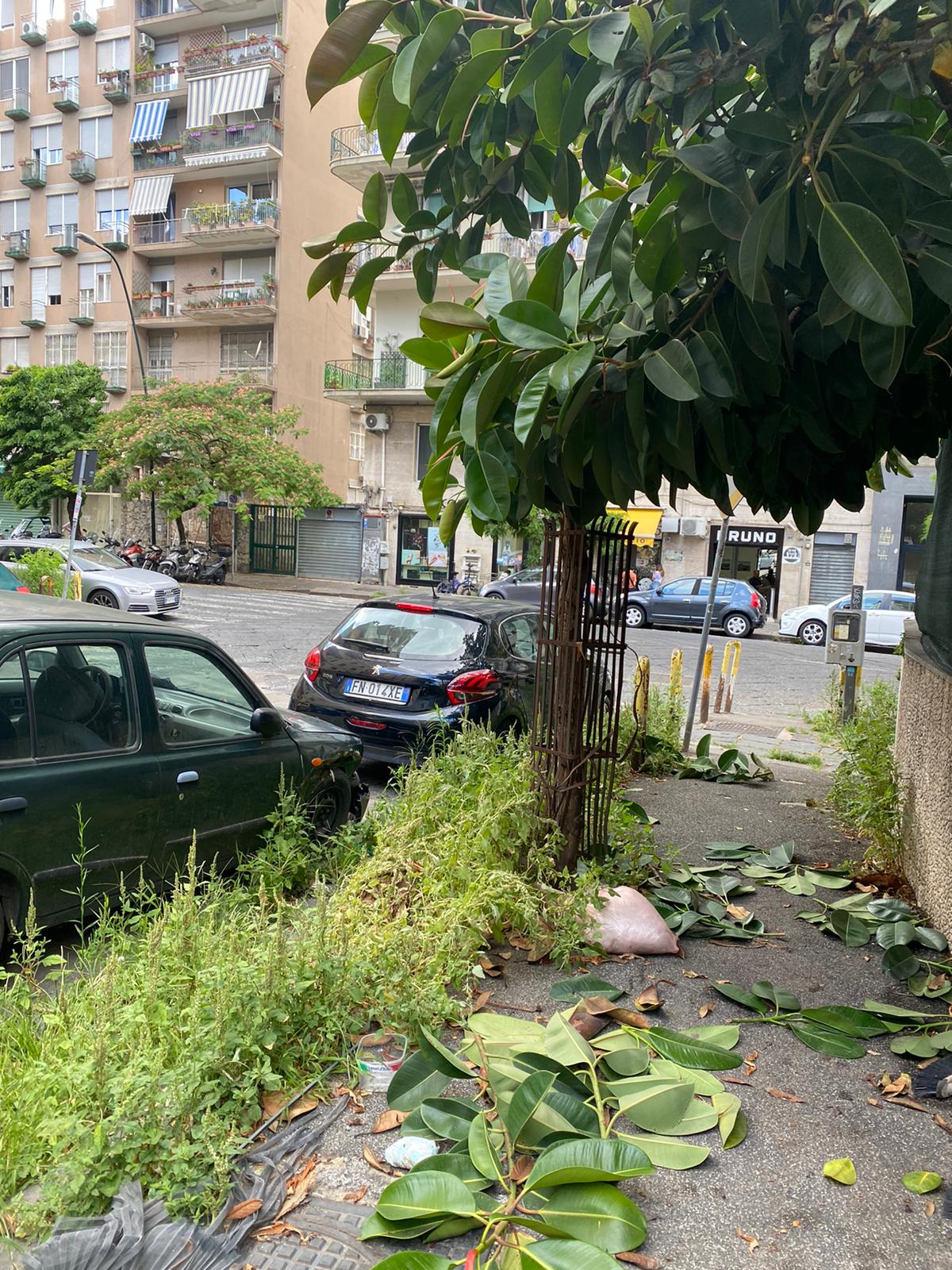 Napoli, Vomero: il degrado di Viale Raffaello
