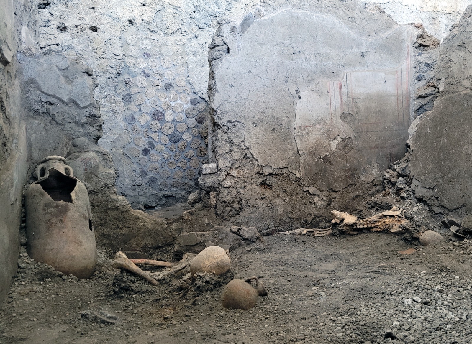 Scavi Pompei, due scheletri rinvenuti sotto un crollo di muro