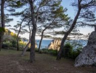 Capri, riapre il Parco della Certosa