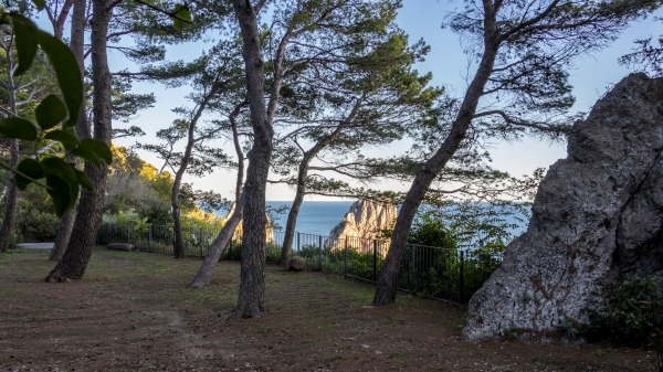 Parco della Certosa di San Giacomo