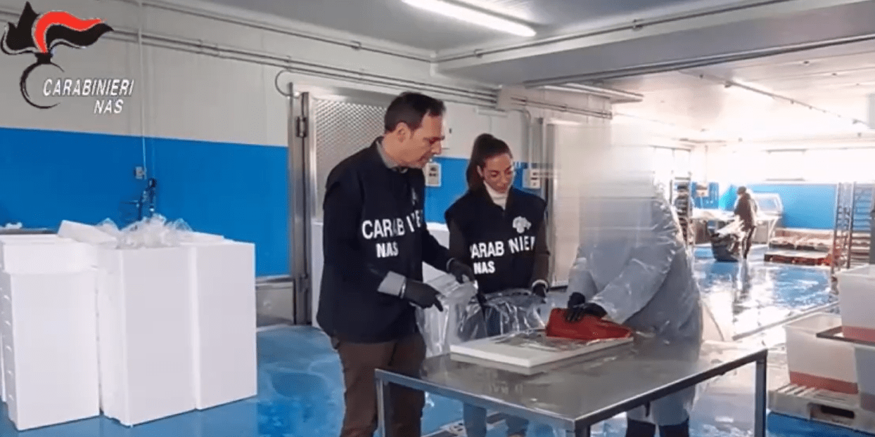 Bari, consumatori in rianimazione dopo aver mangiato tonno, 11 arresti. Ecco le aziende sequestrate
