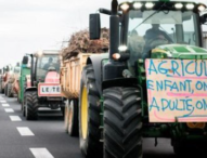 Francia, la rabbia degli agricoltori: un’auto si lancia contro un blocco stradale. Uccisa una donna. Gravi il marito e la figlia