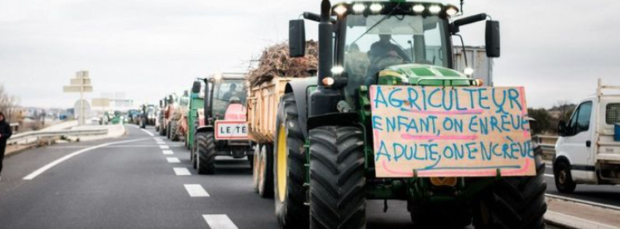 Francia, la rabbia degli agricoltori: un’auto si lancia contro un blocco stradale. Uccisa una donna. Gravi il marito e la figlia
