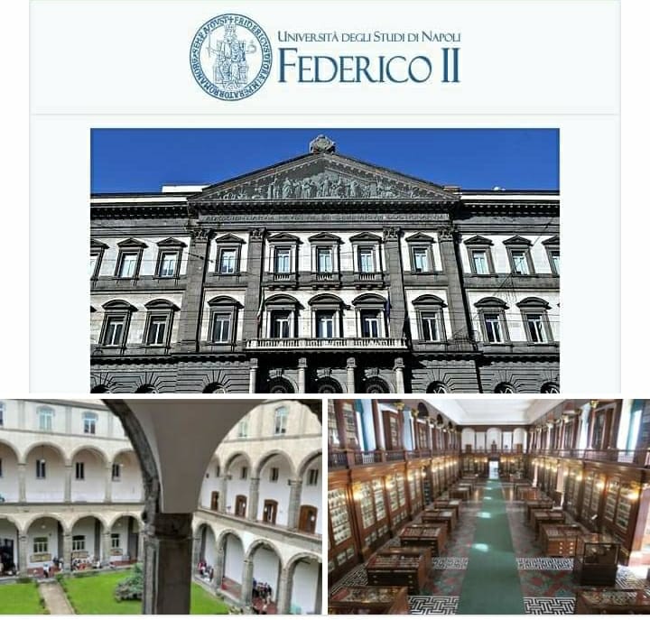 Napoli, l’Università Federico II compie 800 anni: buon compleanno!