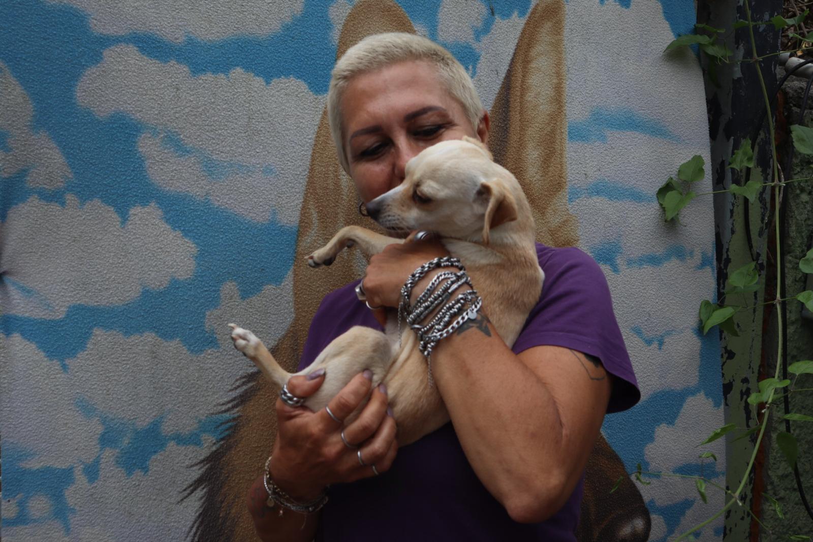 Napoli, Dea Buonocore rompe il silenzio: “Io perseguitata su Facebook da false associazioni animaliste”(VIDEO)