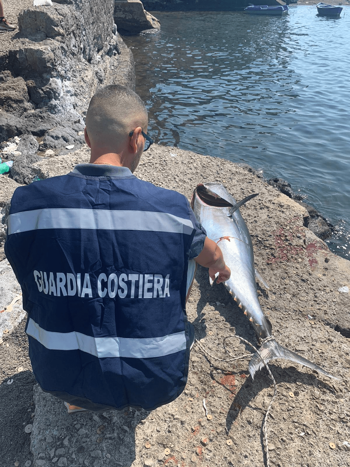 Torre del Greco, pesca sportiva illegale: sequestrati due esemplari di tonno rosso