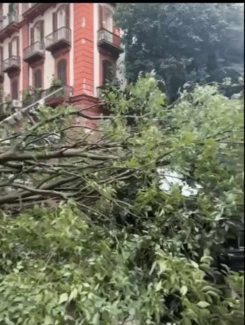 Napoli, tragedia sfiorata al Vomero: Cade un grosso albero. Tre persone illese