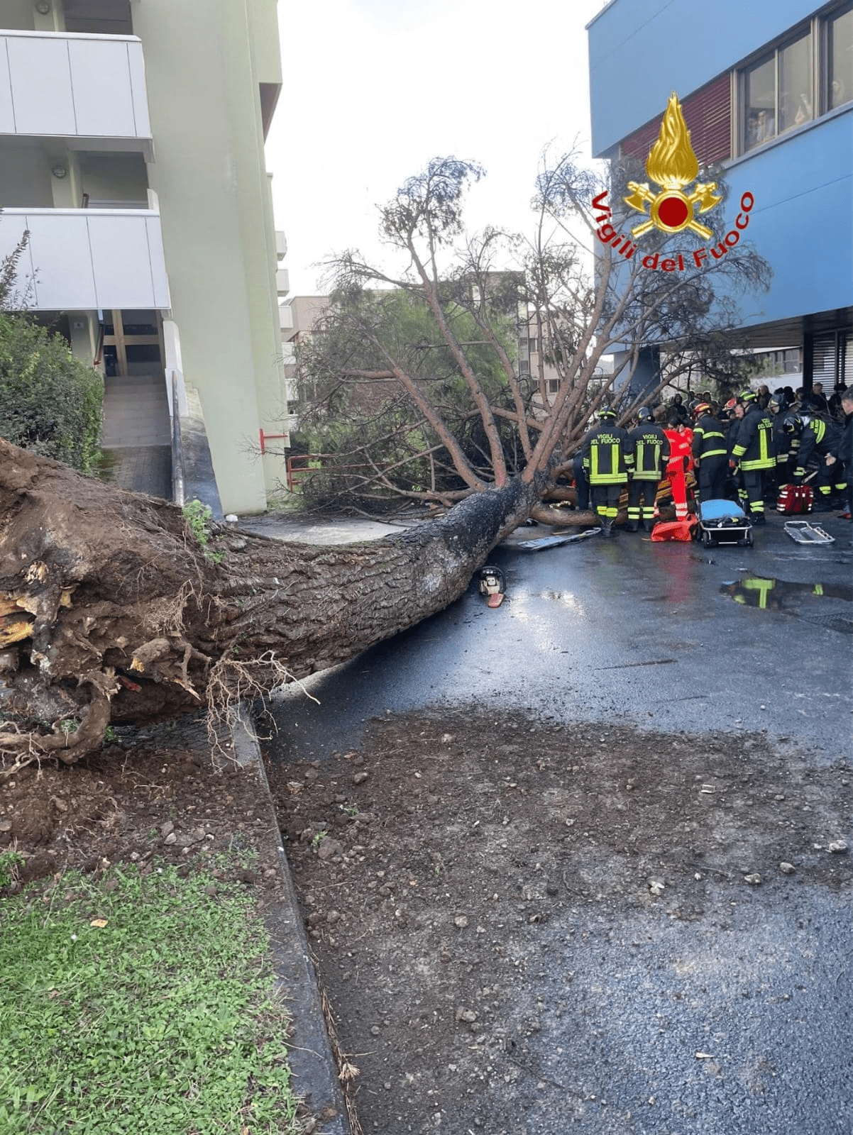 Salerno, albero cade al campus Università di Fisciano: cinque feriti