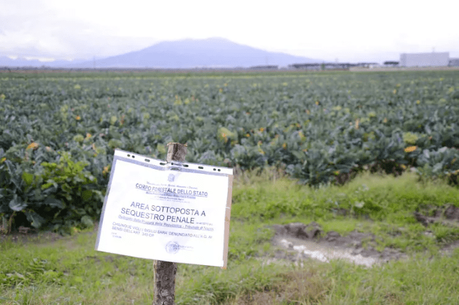 La Corte di Strasburgo condanna l’Italia per la Terra dei Fuochi: “a rischio la vita degli abitanti”. Nella bufera 12 governi nazionali e 5 regionali di destra e di sinistra